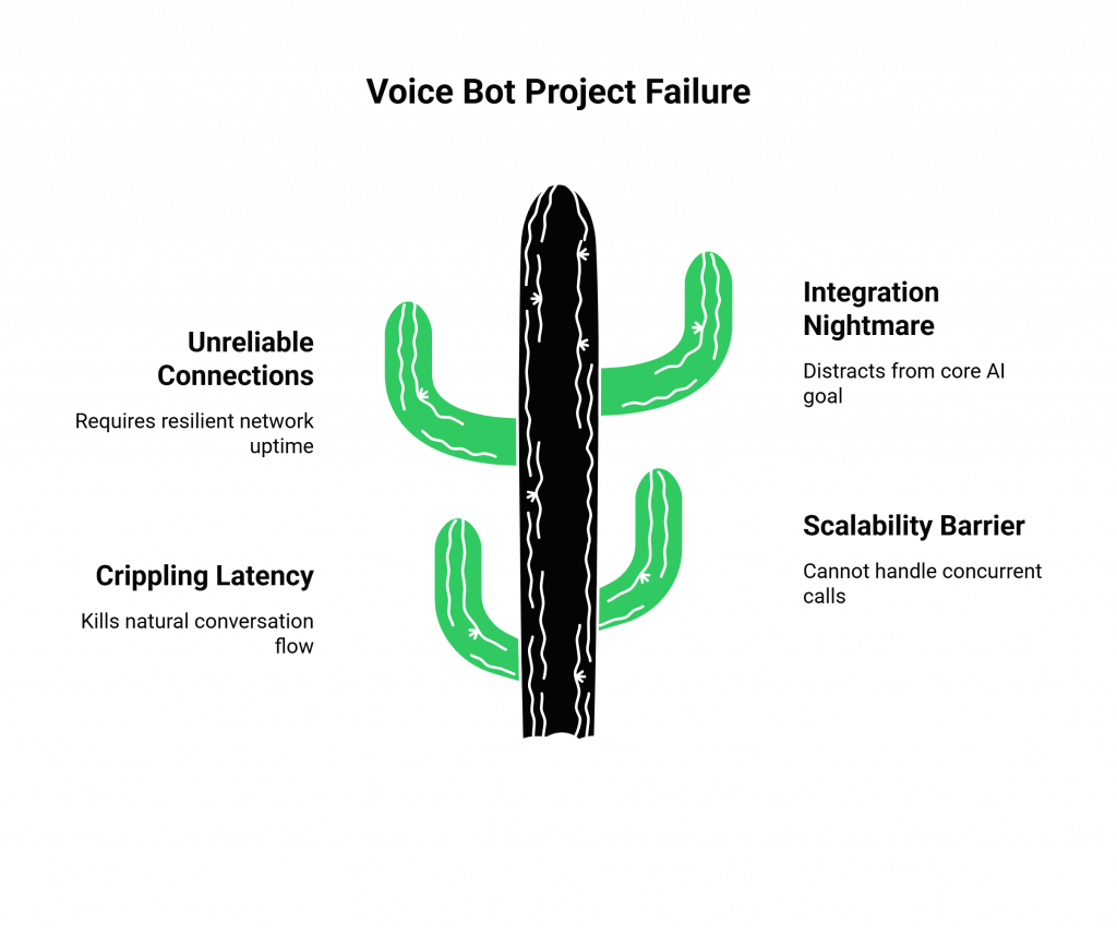 voice bot project challenges