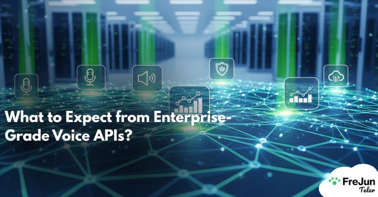 What to Expect from Enterprise-Grade Voice APIs?