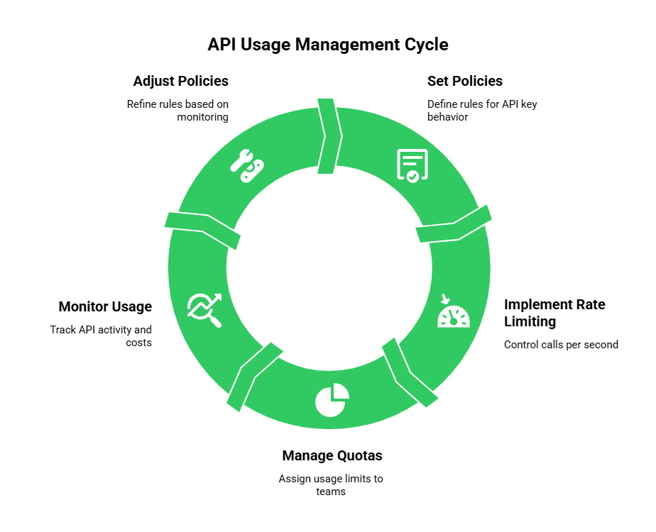 API Usage Management Cycle