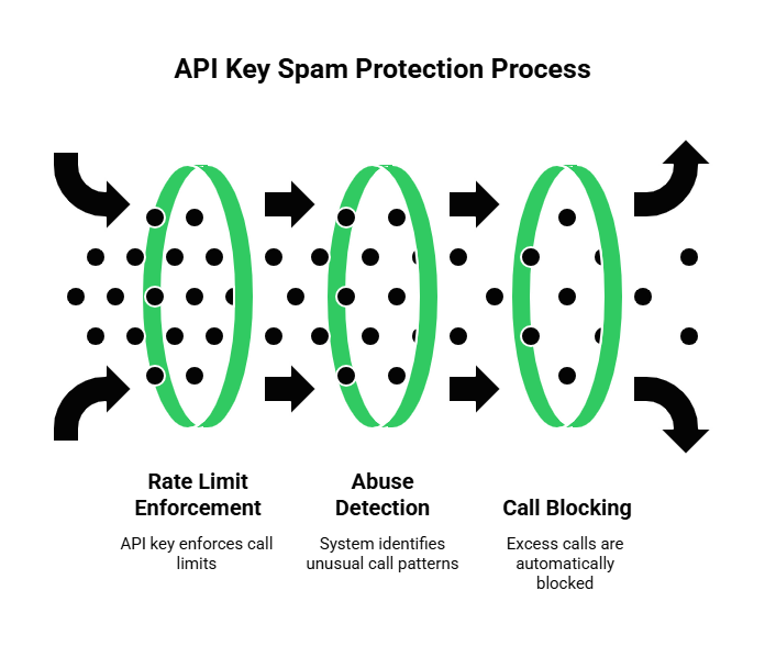 API Key Spam Protection Process